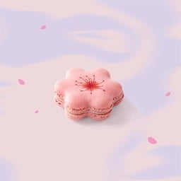 Sakura Macaron