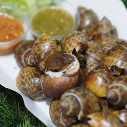 หอยหวานเผา (หอยหมาก)