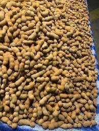 มะขามหวานสีทอง ข้อปนหมู 1กิโล