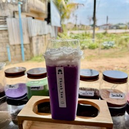 เผือกหอม