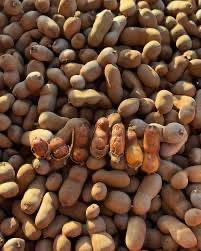 มะขามหวาน ข้อปนหมู ครึ่งโล