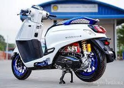 คักเติบ 1