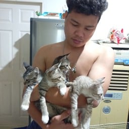 ป้าจุ๋มอาหารตามสั่ง