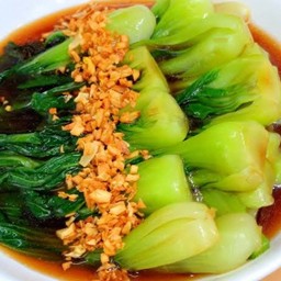 กวางตุ้งน้ำมันหอย