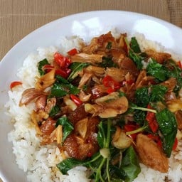 ข้าวขาหมูกังไนท์