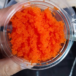 TJ  DONG (มอนกุ้งฉ่ำ) ศาลายา