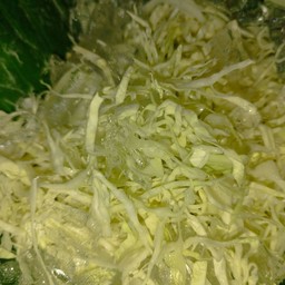 กะหล่ำปลี