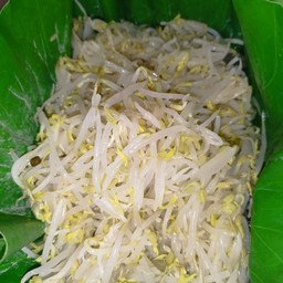 ถั่วงอกลวกสุก