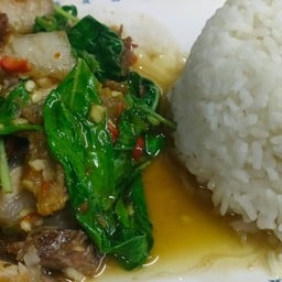 ข้าวราดกระเพราหมูกรอบ