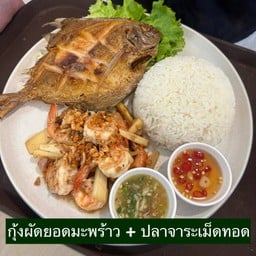 เซต กุ้งผัดยอดมะพร้าว + ปลาจาระเม็ดทอด
