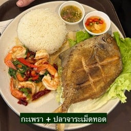 เซต กะเพรา+ ปลาจาระเม็ดทอด