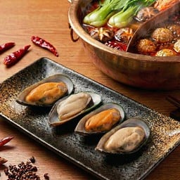 หอยแมลงภู่ NZ