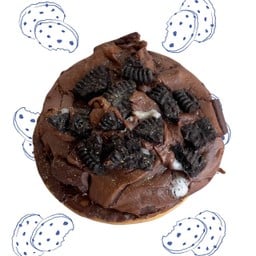 Oreo On Biscuit