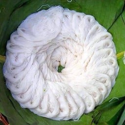 ล้านตำญวนกระเพาะปลา บ้านตาเทพยายนัน