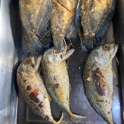ปลาสลิตทอด ( เหลือ 1 ตัว)