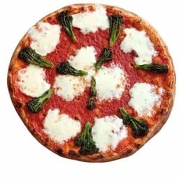 15”Fresh Mozzarella and Broccolini Pizza