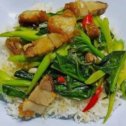 ข้าวราดผัดคะน้า