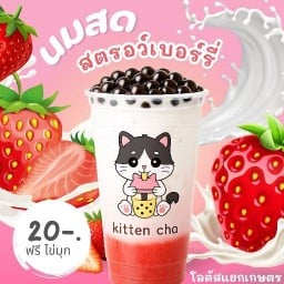 Kitten cha สาขาทุ่งสง สาขาทุ่งสง