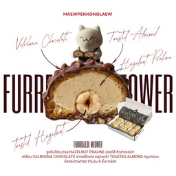 ไข่แมวเคลือบช๊อคโกแลต FURREALLOL MEOWER