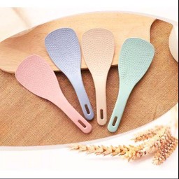 ทัพพีตักข้าว