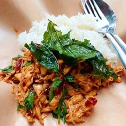 กะเพราอกไก่ฉีก