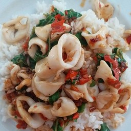 กะเพราปลาหมึก ราดข้าว