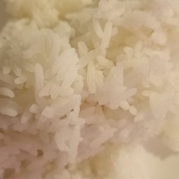 ข้าวเปล่า