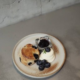 SCONE