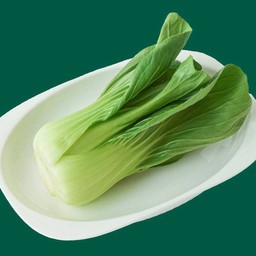 กวางตุ้งไต้หวัน