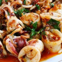 หมึกผัดโหระพาราดข้าว