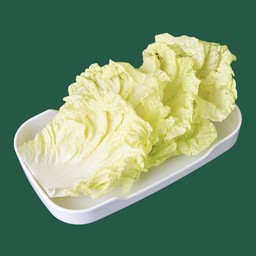 ผักกาดขาว