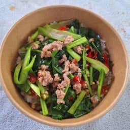 ผัดคะน้าหมูสับ ราดข้าว