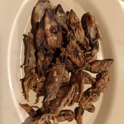 หมึกกระตอยแดดเดียว