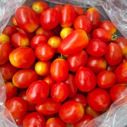 มะเขือเทศราชินี 400กรัม