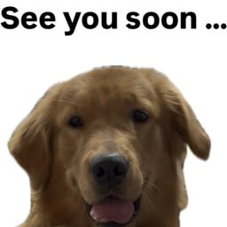 ZEN Koff. บางแสน