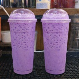 เผือกนมเย็น