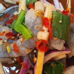 ยำแซ่บพ่นไฟ  (พุทธบูชา 36) ยำแซ่บพ่นไฟ  (พุทธบูชา 36)