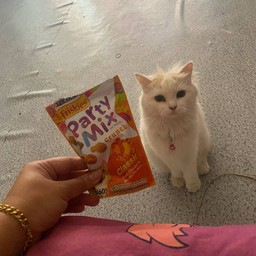 น้องริชขี่ช่วยแม่ขายของสะสมเงินค่าขนม