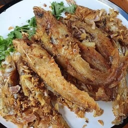 ปลาเนื้ออ่อนทอดกระเทียม น้ำจิ้มซีฟู้ด