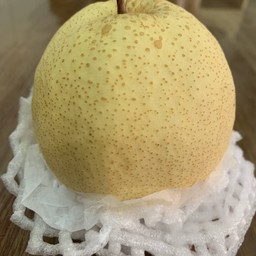 สาลี่น้ำผึ้ง1ลูก