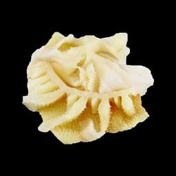 สไบนาง 100 g.