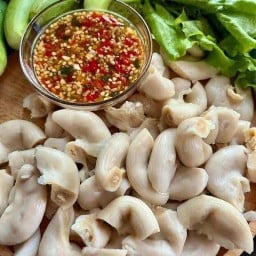 หมึกย่าง ไก่แดง กับแกล้ม