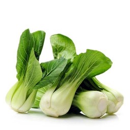 กวางตุ้ง