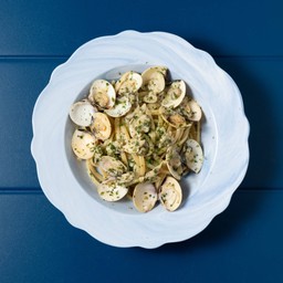 ลิงกวินีกับหอยวองโกเล่