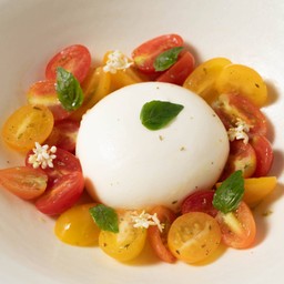 Burrata and Tomatoes