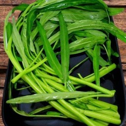 ผักบุ้ง 6 ต้น