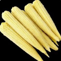 ข้าวโพดอ่อน 2 ชิ้น