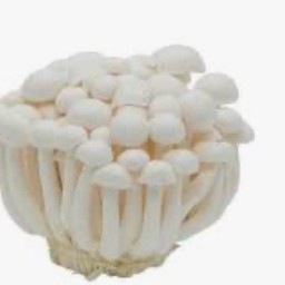 เห็ดชิเมจิ