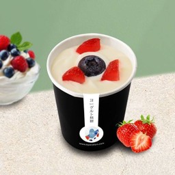 Frozen Yogurt (Sugar-Free)