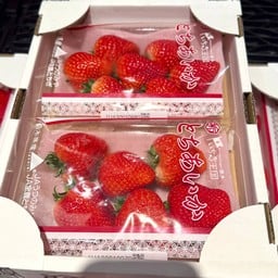 Lopia Japan Central Chaengwattana